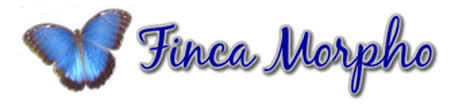Finca Morpho Logo